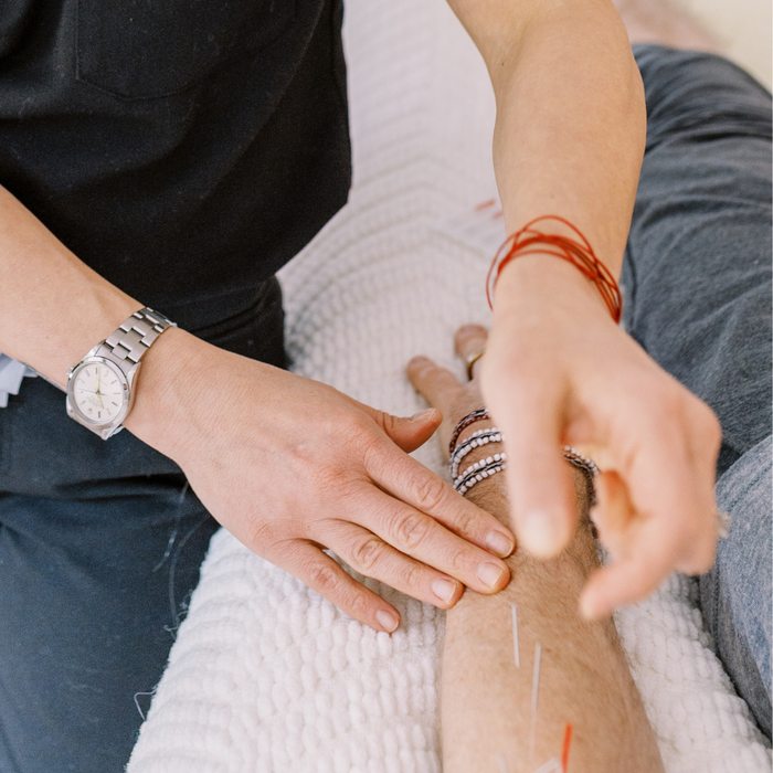 Foundation in Acupuncture (Level 1)