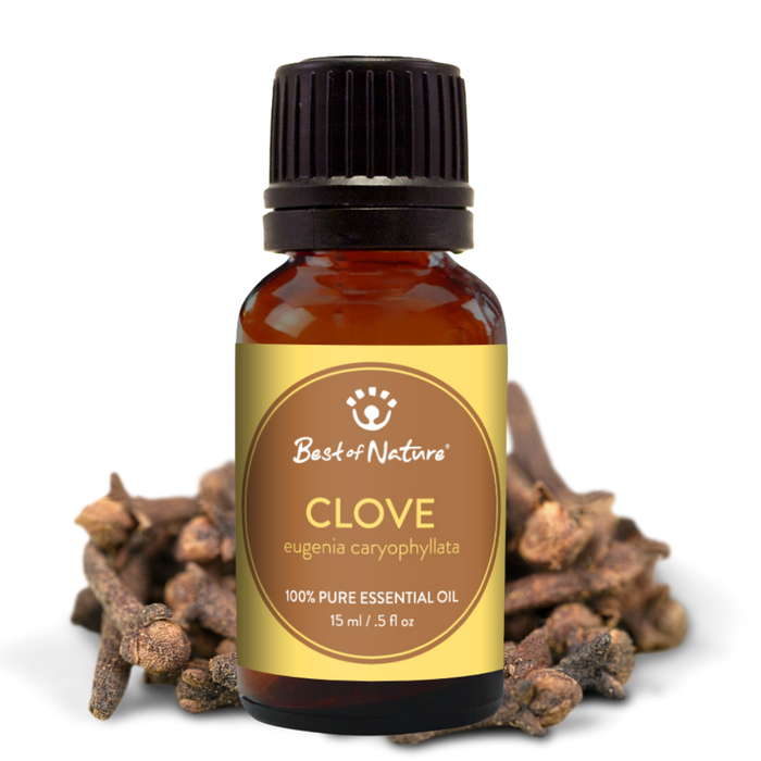Best of Nature Clove Bud Essential Oil