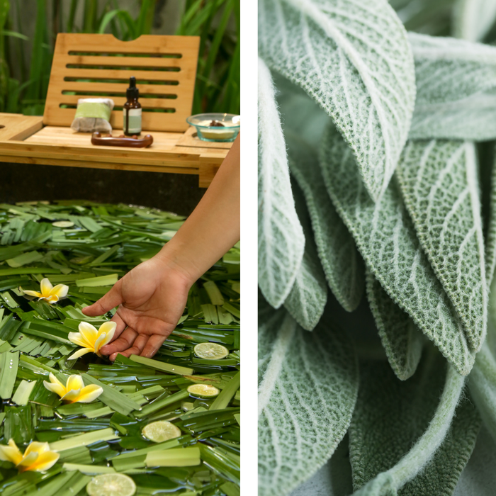 Best of Nature Lemongrass & Sage Aromatherapy Massage & Body Oil