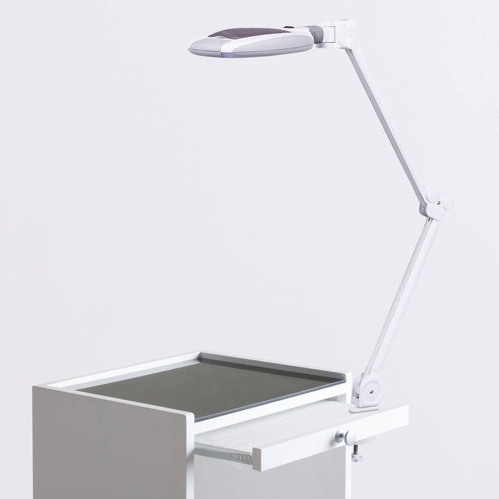 Magnifying Lamp - Earthlite