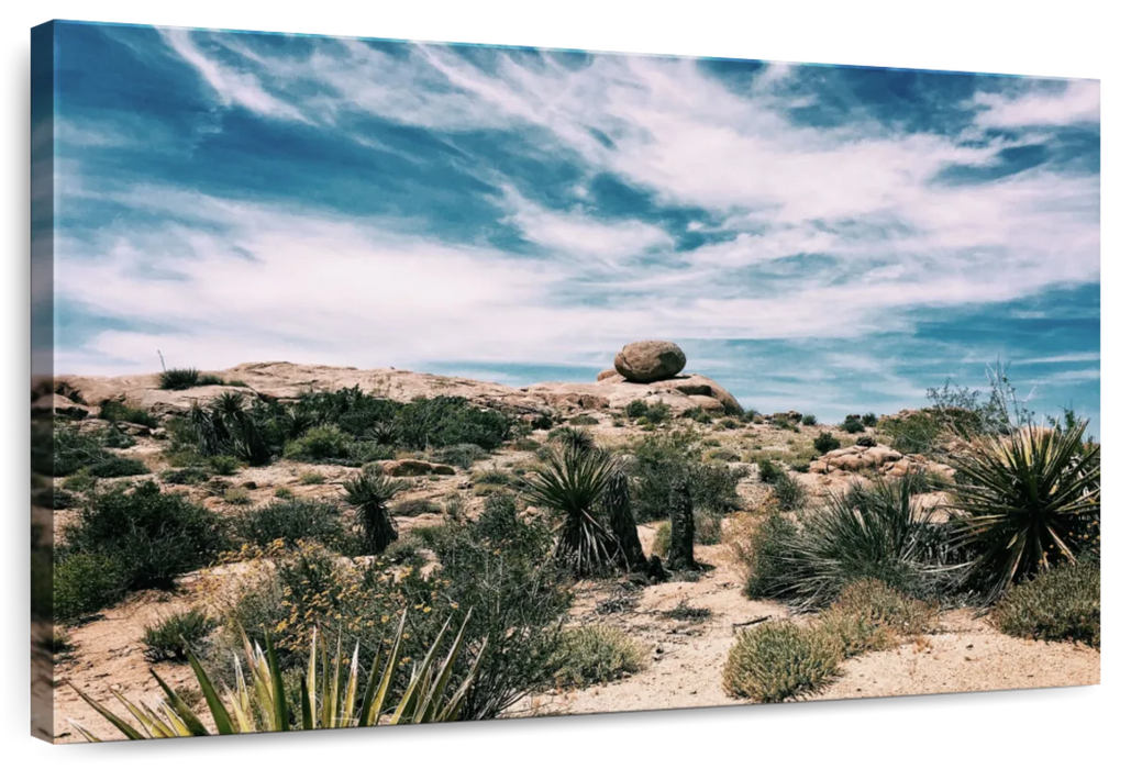 Cactus Desert Wall Art