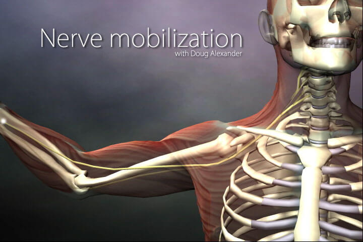 Nerve Mobilization The Upper Body Video on DVD or Streaming Version - Real Bodywork