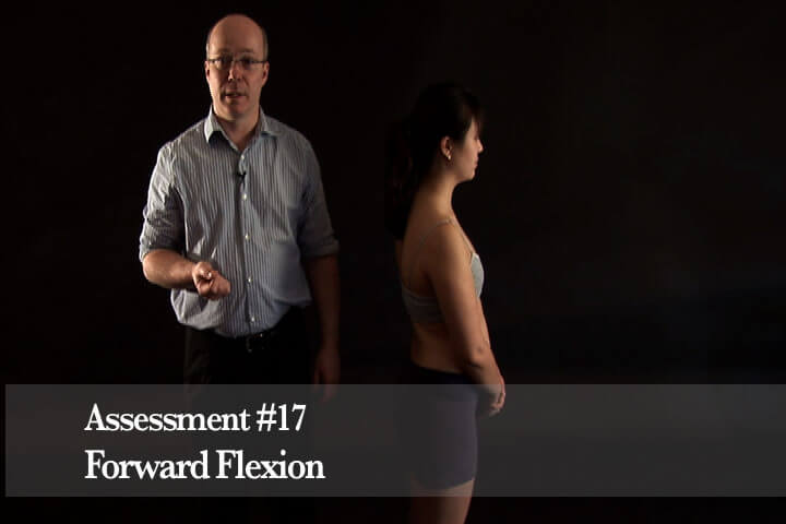 Nerve Mobilization The Lower Body Video on DVD or Streaming Version - Real Bodywork